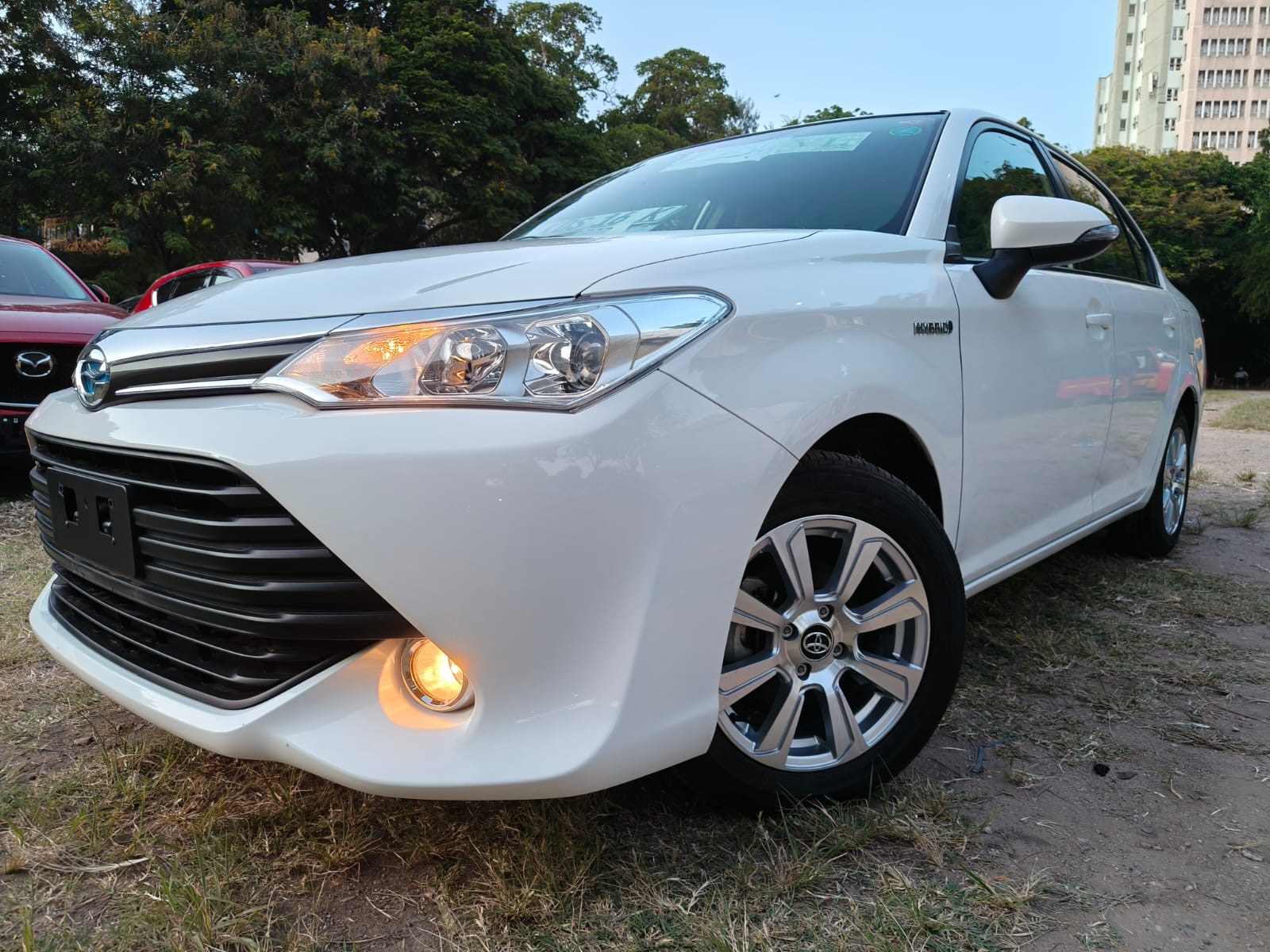 Toyota  Axio